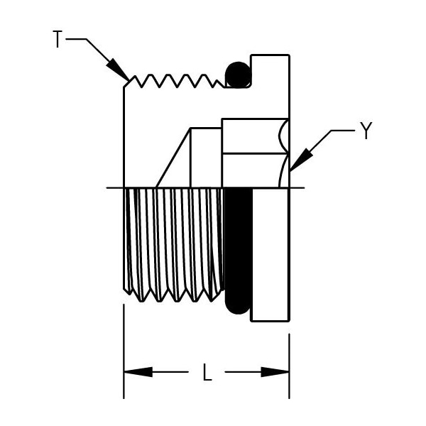 Internal Hex Drive SAE O-Ring Plug